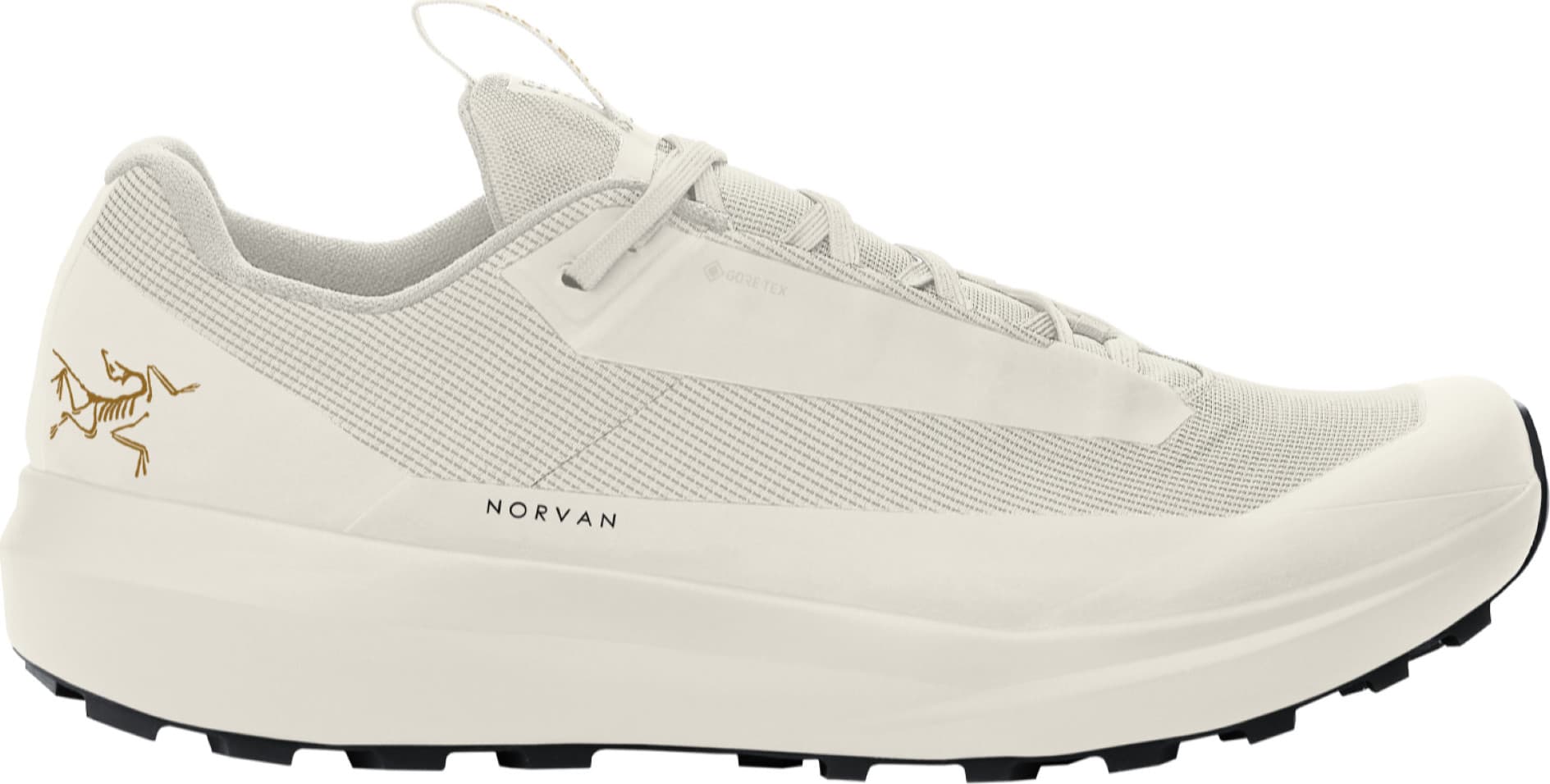 Arcteryx Arc'teryx Women's Norvan Ld 4 Gore-Tex Arctic Silk/arctic Silk